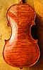 Violin back