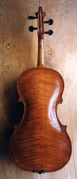 Viola, back view