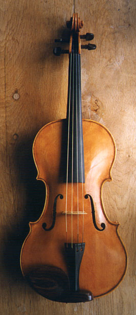 Viola, front view