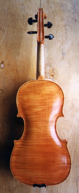 Violin, back view