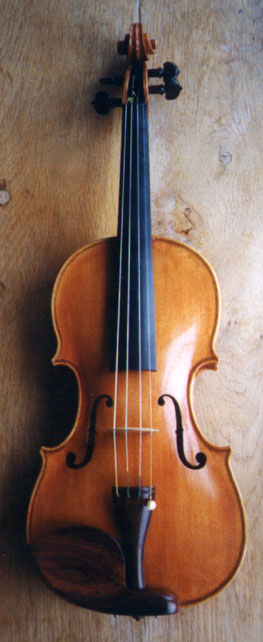 Violin, front view